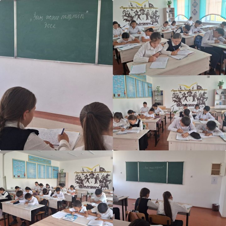 "Ынтымағы жарасқан ырысты ел" тақырыптарында эссе жазу